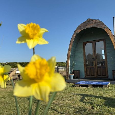 Skipbridge farm glamping York Eksteriør bilde