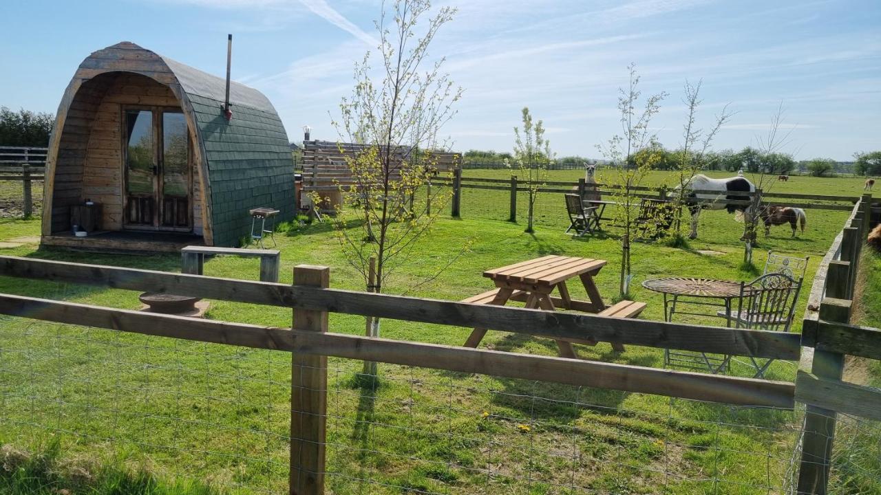 Skipbridge farm glamping York Eksteriør bilde