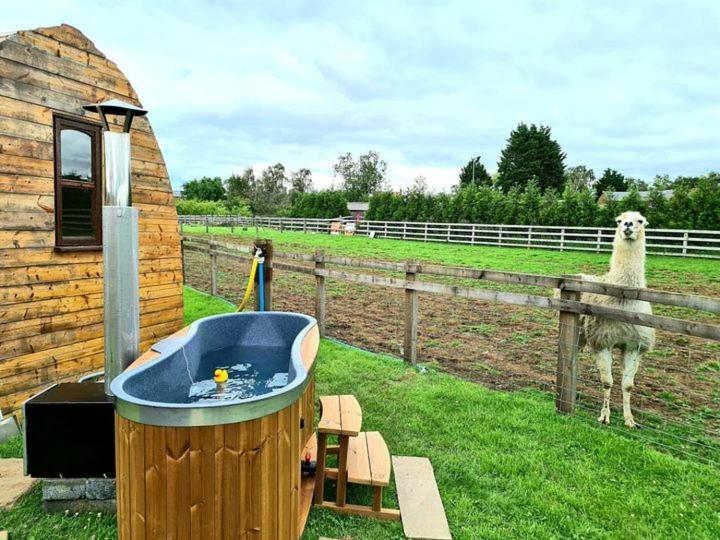 Skipbridge farm glamping York Eksteriør bilde