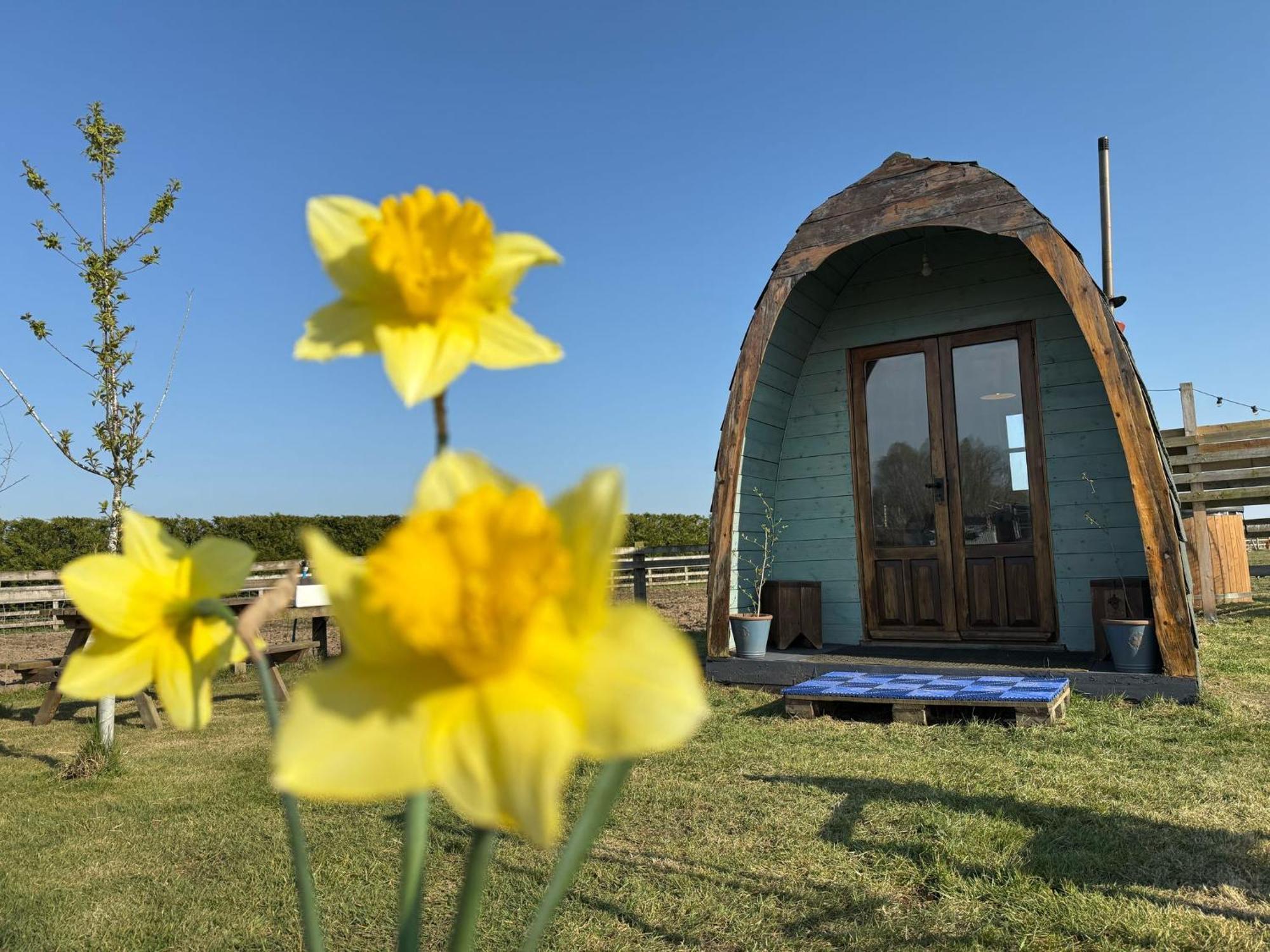 Skipbridge farm glamping York Eksteriør bilde